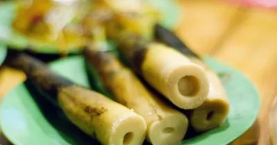 Ростки бамбука - описание, состав, калорийность и пищевая ценность - Patee.  Рецепты