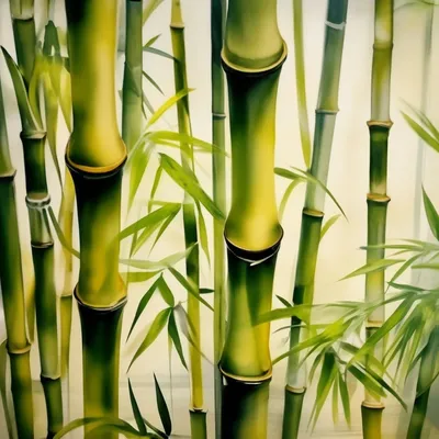 Ростки бамбука (полосками), 540г., Thai Agri Foods | Вегемаркет -  вегетарианский магазин