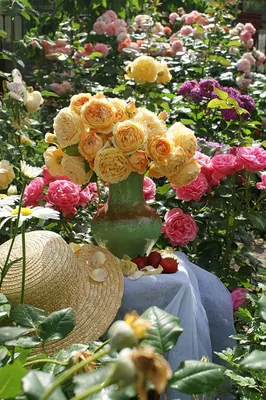 Шикарный розарий в старом саду, …» — создано в Шедевруме