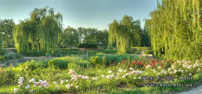 Парк культуры и отдыха \"Сокольники\" | Ландшафтный дизайн садов и парков