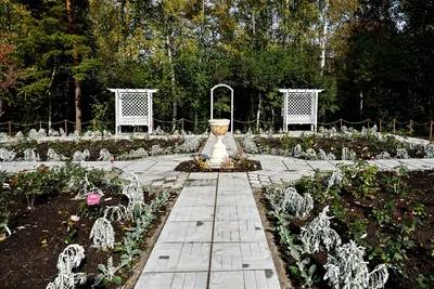 Дни роз в Ботаническом саду: представят сотни сортов | Stolitsa.ee -  новостной портал города Таллинн