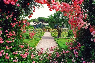 Розовый сад, прогулка по Петршинскому холму