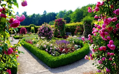 Гостевой дом \"Розовый сад\", Тонкий мыс: цены, фото, бронь, контакты