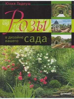 Как правильно высаживать розы – блог интернет-магазина Порядок.ру