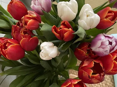 Цветы к 8 марта подорожают на 30% | Видное Информ