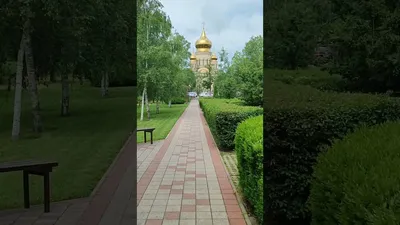 Видео Славянск-на-Кубани сад Гигант - YouTube