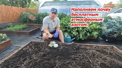 Как правильно: Расположить огород в саду | Houzz Россия