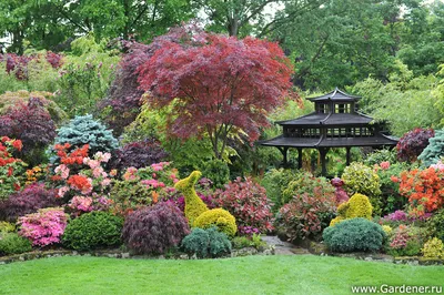 Four Seasons Garden | Ландшафтный дизайн садов и парков
