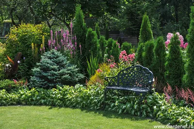 Сад Марковских | Ландшафтный дизайн садов и парков