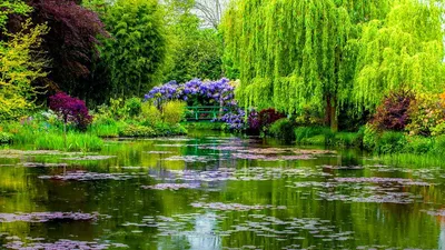 Ботаничка on X: \"Сад Клода Моне в Живерни (Giverny). Здесь он написал такие  картины, как: «Водяные лилии» и «Пруд с лилиями». http://t.co/5zTrcHmAUo\" /  X