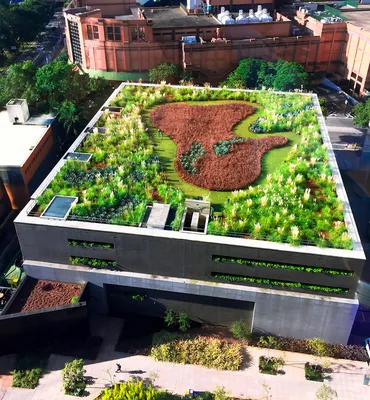 Сад, который живёт на крыше | Блог о ландшафтном дизайне