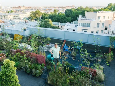 Сады на крыше - проект в Москве | Устройство садов на крыше дома