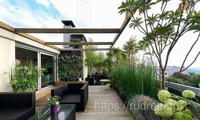 Обустройство сада на крыше | Ландшафтный дизайн | Журнал «Дом и сад»