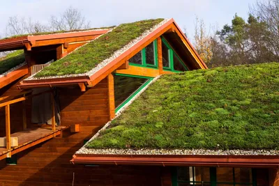 Как устроены сады на крышах в Москве :: Новости :: ТВ Центр