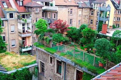 Сад на крыше: проекты, фото, видео | Компания «Большая земля»