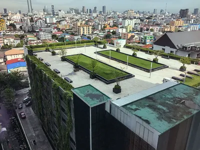 Сад, который живёт на крыше | Блог о ландшафтном дизайне