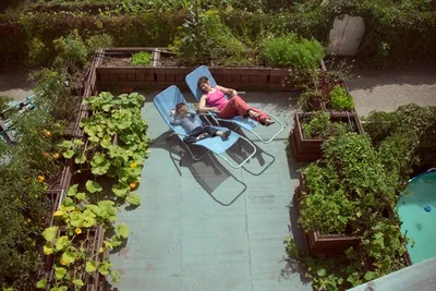 Красивый сад и пруд на крыше частной резиденции в Торонто, Канада | Jardins  sur les toits, Terrasse design, Conception du toit