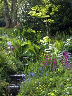 Сад и пруд горного склона стоковое изображение. изображение насчитывающей  озеленение - 101868341