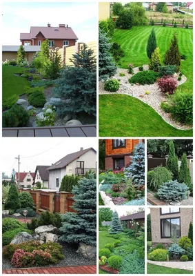 Садовый дизайн маленького участка: создаем красивый и функциональный сад  [94 фото]