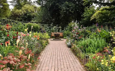 Комфортный сад для домашних питомцев - статья от студии ландшафтного  дизайна \"Сад фантазий\"