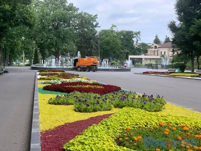 На время реконструкции сад Шевченко будет открыт для прогулок – вице-мэр |  СтройОбзор