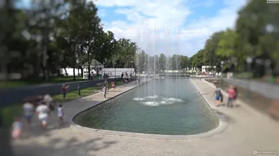 Парк шевченко в Харьковской городской Украины с воздуха Стоковое Фото -  изображение насчитывающей парк, ландшафт: 193624858