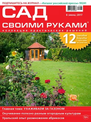 Ева «Сад своими руками» | Озеленение, онлайн курсы по стрижке сада в  Воронежской области