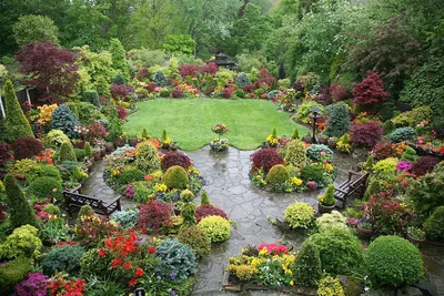 Сад в английском стиле: идеи для ландшафтного дизайна участка 🌿🌸 | Школа  садовода | Дзен