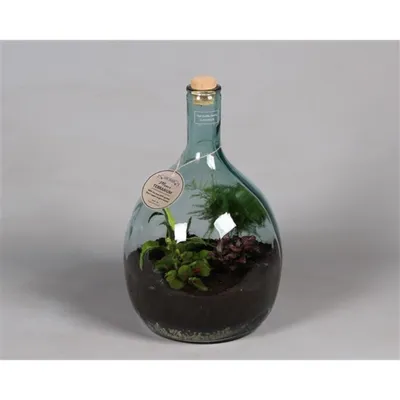 Сад прозовчной бутылке» — создано в Шедевруме