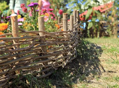 Подсолнухи и яркие краски. Как обустроить сад в стиле кантри | Дача |  Cвободное время | АиФ Аргументы и факты в Беларуси