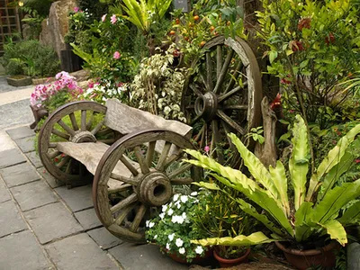 Cад в стиле кантри, деревенский стиль сада, схемы деревнских цветников |  Любимые цветы