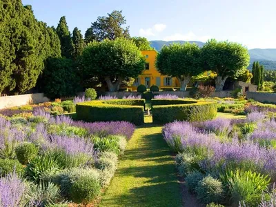 Очарование французской провинции — сад в стиле прованс своими руками |  Ботаничка | Дзен