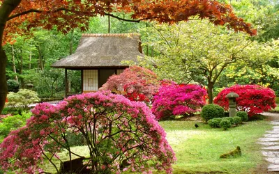 Сады в Японии | Блог компании «Альфаплан»