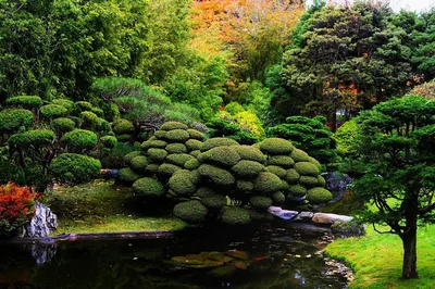 Красивый японский сад в Киото, Японии Стоковое Изображение - изображение  насчитывающей отражение, ландшафт: 135985767