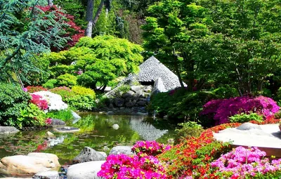 Японский парк цветов - 70 фото