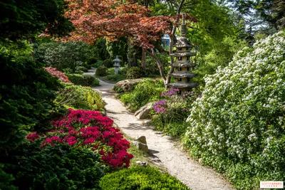 Сад камней в Японии (59 фото) - 59 фото