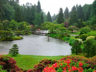 ⛩️Продолжаем путешествовать по ботаническим садам Японии. На очереди у...