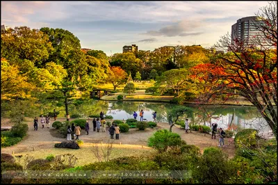Сады японии фото фотографии