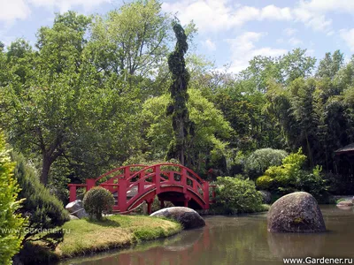 Kenrokuen сад в Kanazawa Ishikawa Японии. Kenrokuen один из 3 больших садов  Японии Стоковое Изображение - изображение насчитывающей японско, строя:  189787983