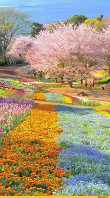 ⛩️Продолжаем путешествовать по ботаническим садам Японии. На очереди у...