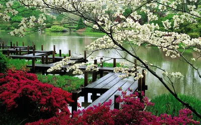 Японские сады и парки (38 фото) - 38 фото