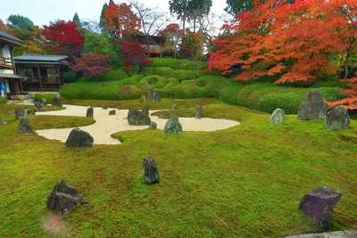 Музей Мориками и Японские сады