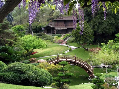 Лекция «Японские сады» – события на сайте «Московские Сезоны»
