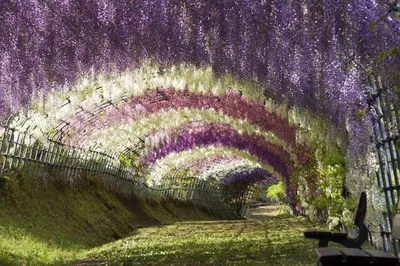 Фреска «Цветущий сад в Японии»