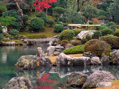 Экскурсия по Киото «Сады и Храмы Юнеско» (из Киото/Осака) купить по низкой  цене | Туроператор Wasabi Tour