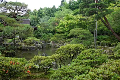 Сады Киото стоковое фото. изображение насчитывающей канал - 36162586