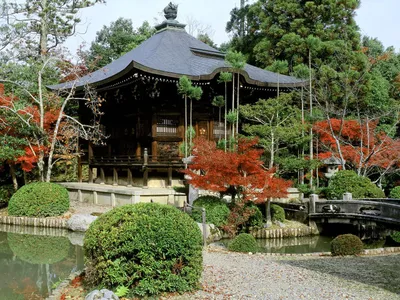 Signed] The Gardens of Kyoto City Dweller photo book Japan Zen Tsuboniwa |  eBay