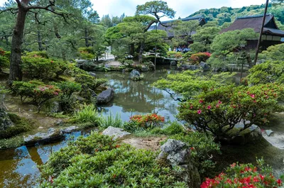 Ботанический сад Киото (Kyoto Botanical Garden) - Coffee Time