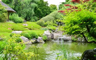 Ботанический сад Киото