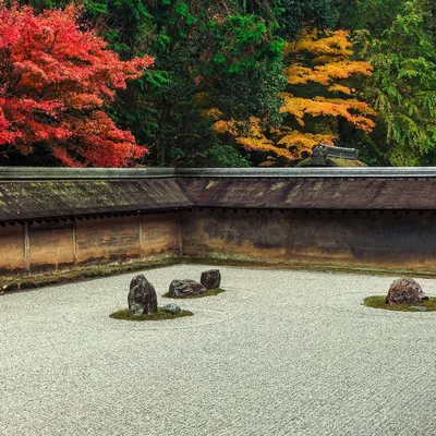 Сад Ниномару в Киото - фото, адрес, режим работы, экскурсии